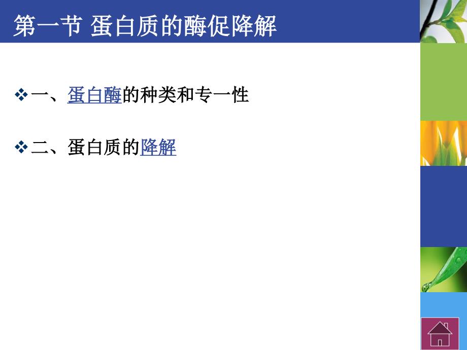 生物化学-21蛋白质和氨基酸代谢1资料_第3页