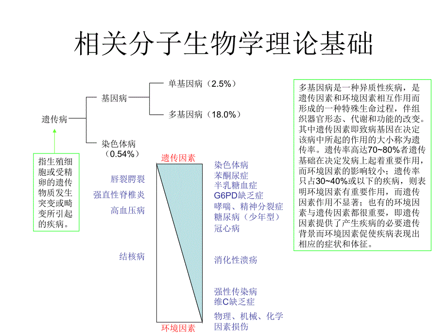 糖尿病与分子生物学.ppt资料_第2页