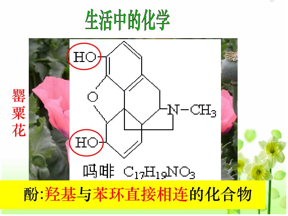 苯酚酚类2资料_第2页