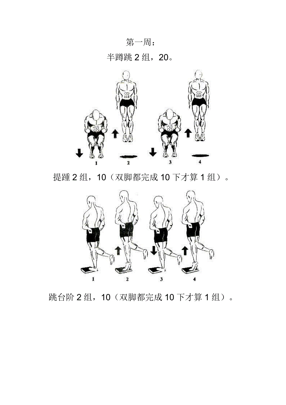 aa4美国弹跳训练计划_第3页