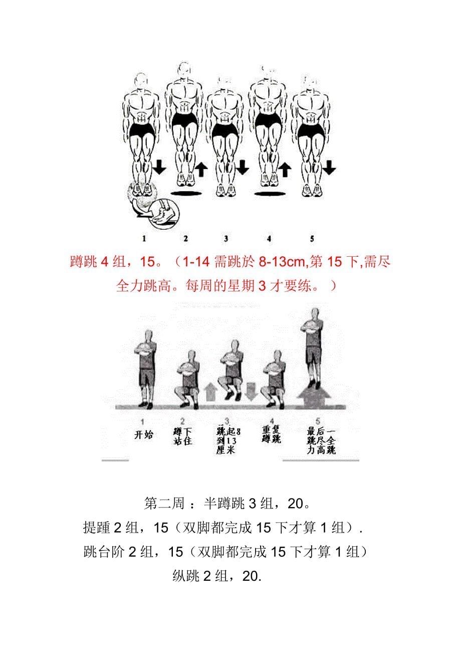 aa4美国弹跳训练计划_第5页