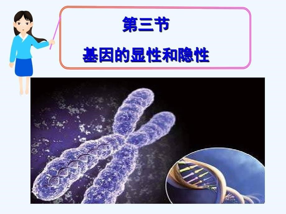 生物人教版初二下册生物的显性和隐性_第5页