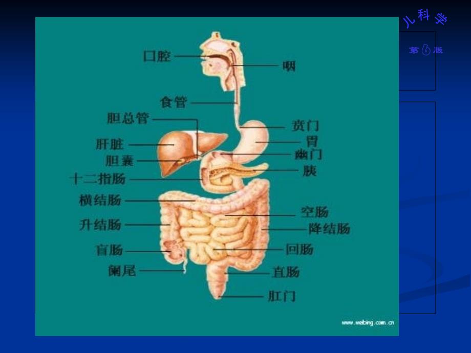 儿科学第八讲消化系统_第1页