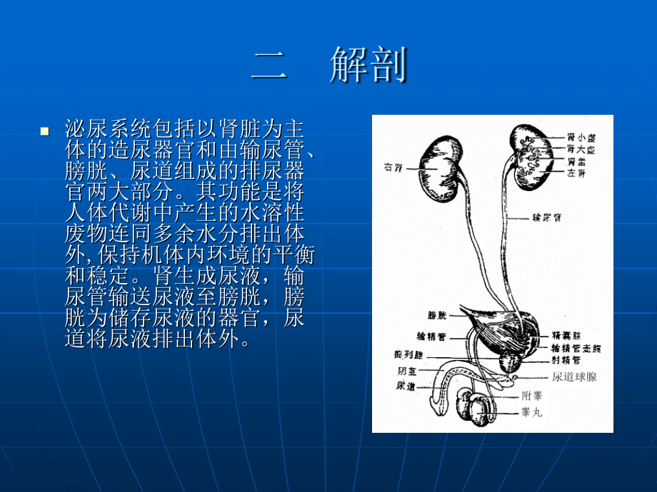 经皮肾镜碎石术的健康教育资料_第3页