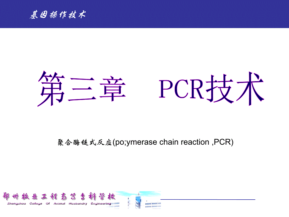 项目四-pcr扩增目的基因---大肠杆菌丝氨酸羟甲基转移酶基因(glya)_第1页