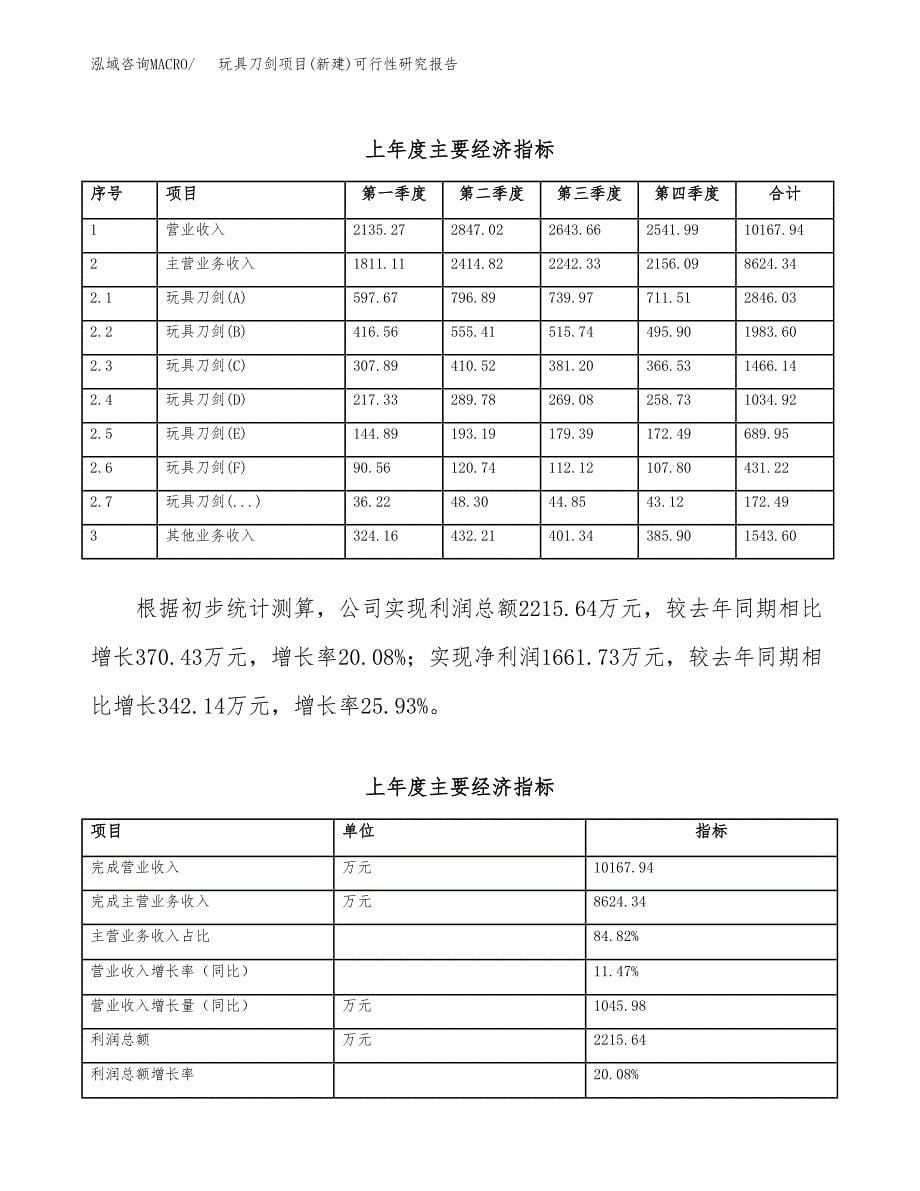 玩具刀剑项目(新建)可行性研究报告.docx_第5页