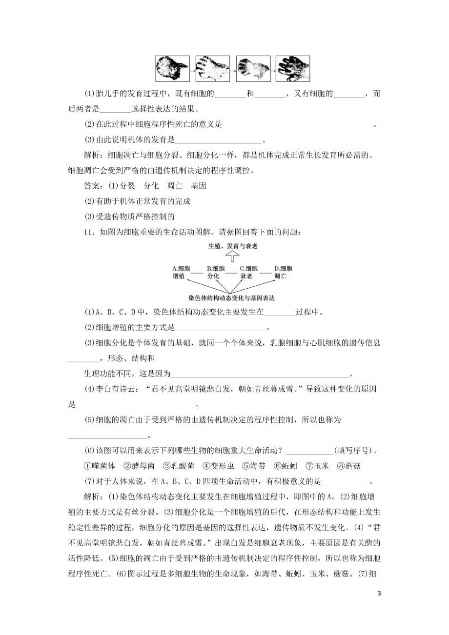 2018－2019学年高中生物 课时跟踪检测（二十）细胞分化、衰老和凋亡（含解析）苏教版必修1_第3页