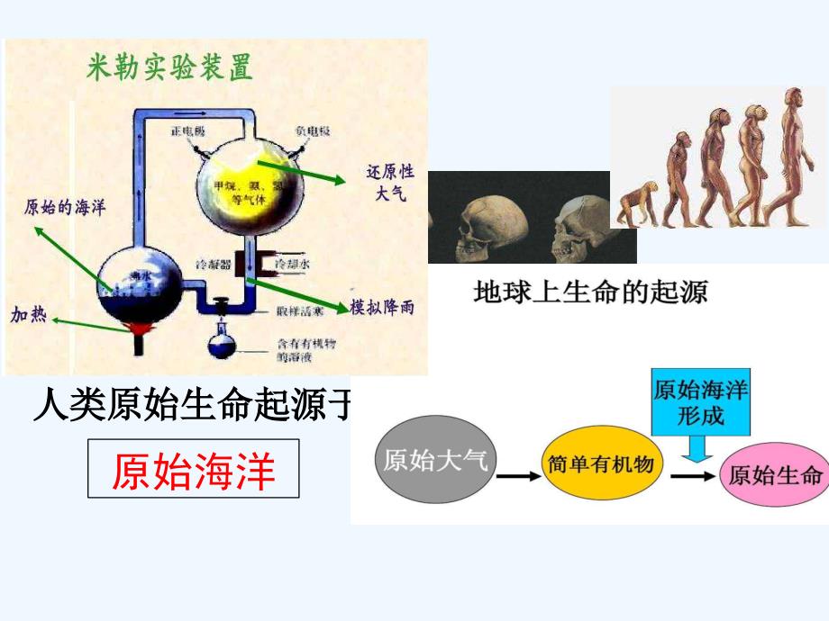 生物人教版初二下册探索地球外的生命_第3页