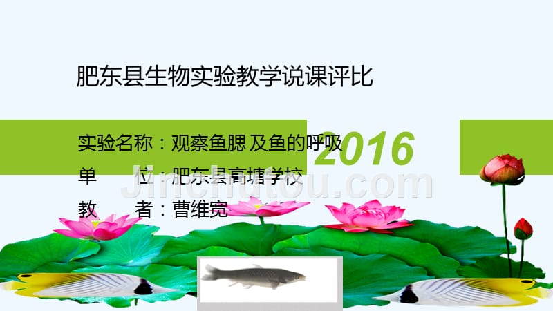 生物人教版初二上册《观察鱼腮 及鱼的呼吸》实验课教案_第1页