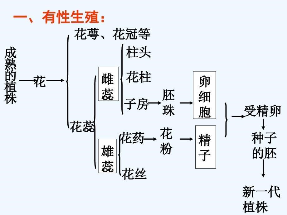 生物人教版初二下册第七单元第一章第一节植物的生殖_第5页