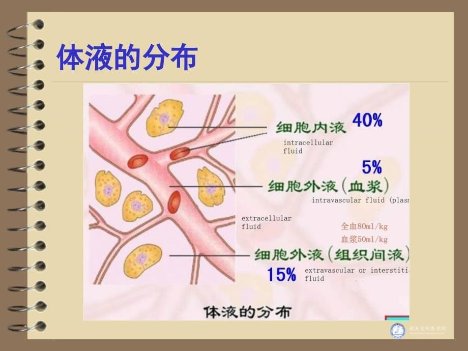 第四章-外科病人的体液失衡_第5页