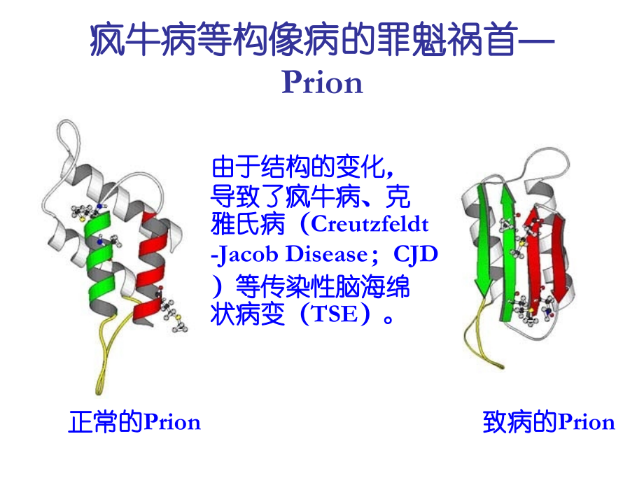 结构生物学介绍和进展资料_第4页