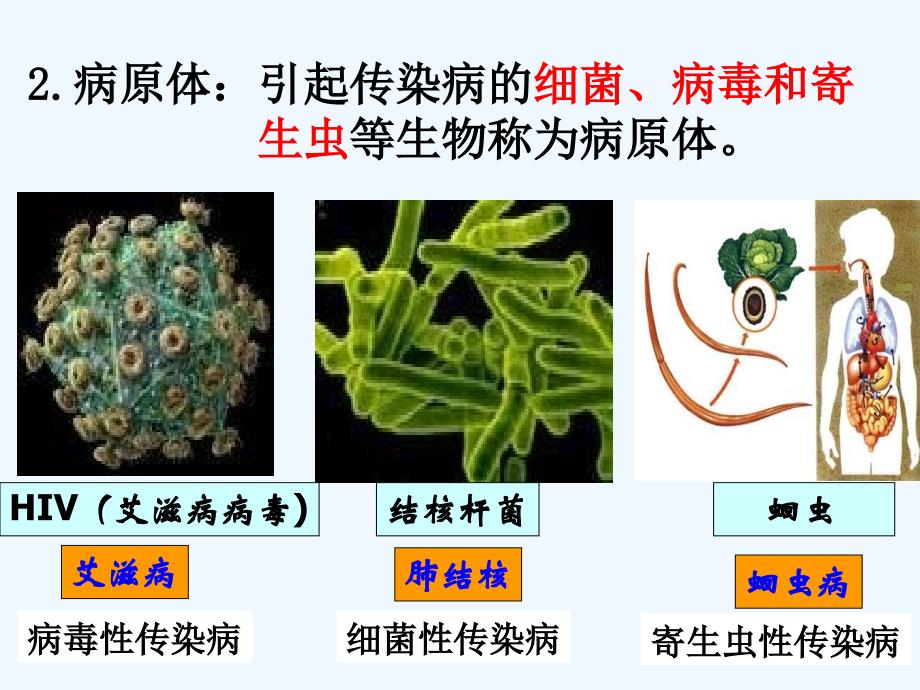 初二生物下册 第八单元 第一章 第一节 传染病及其预防课件_第4页