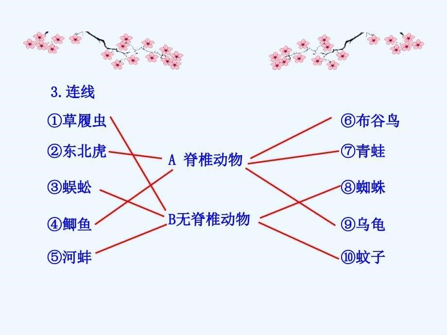 初二生物上册鱼课件_第5页