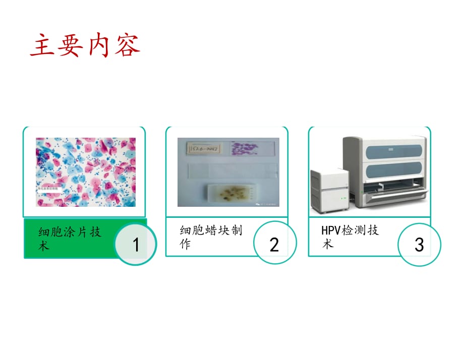 细胞病理技术综述资料_第2页