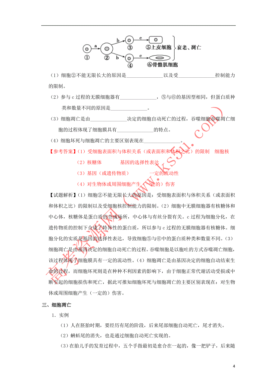 2018－2019学年高中生物 专题6.3 细胞的衰老和凋亡试题 新人教版必修1_第4页