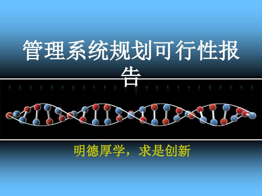 信息系统规划和可行性研究报告_第1页