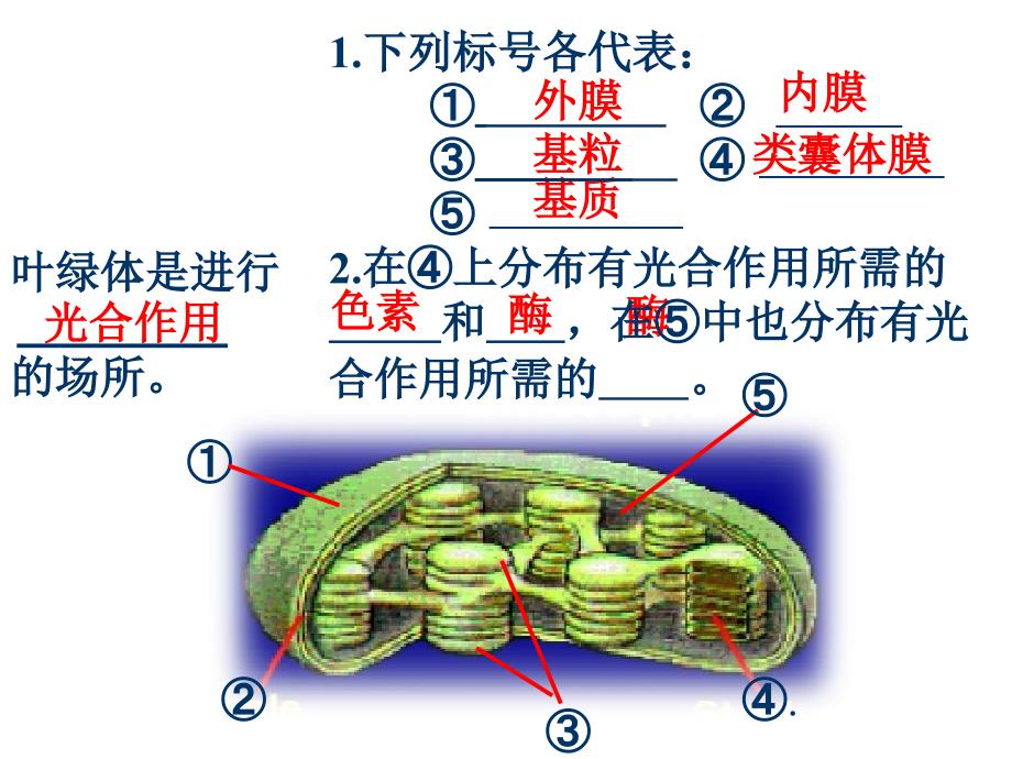 人教版教学课件光合作用课件人教版_第3页