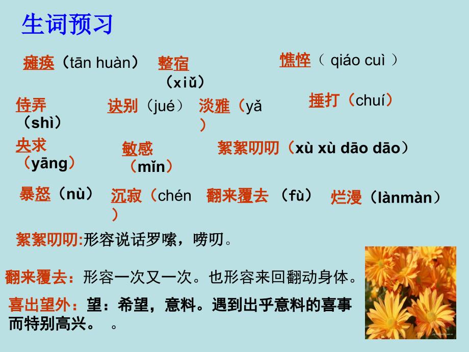 秋天的怀念公开课版人教新版资料_第4页