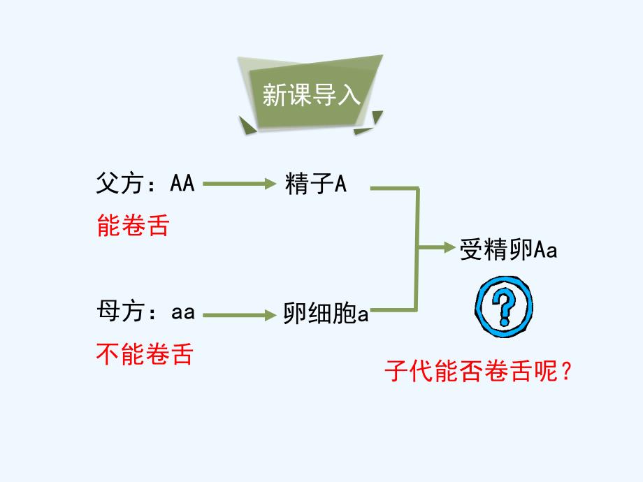 生物人教版初二下册《基因的显性和隐性》第一课时课件_第3页