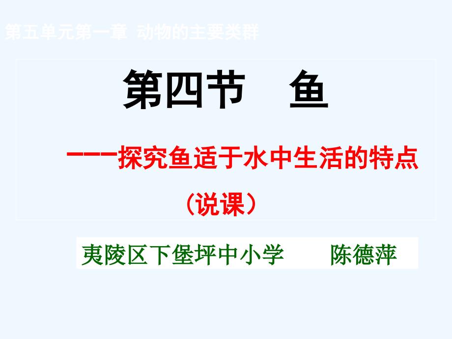 生物人教版初二上册探究鱼适于水中生活的特点说课课件_第1页