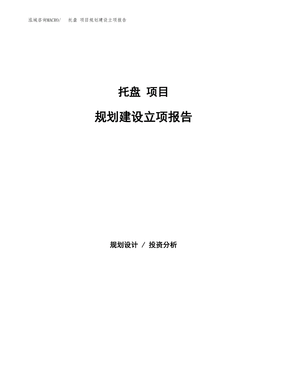 托盘 项目规划建设立项报告_第1页