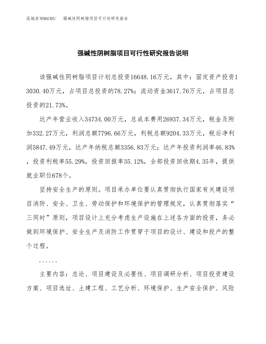 强碱性阴树脂项目可行性研究报告(样例模板).docx_第2页