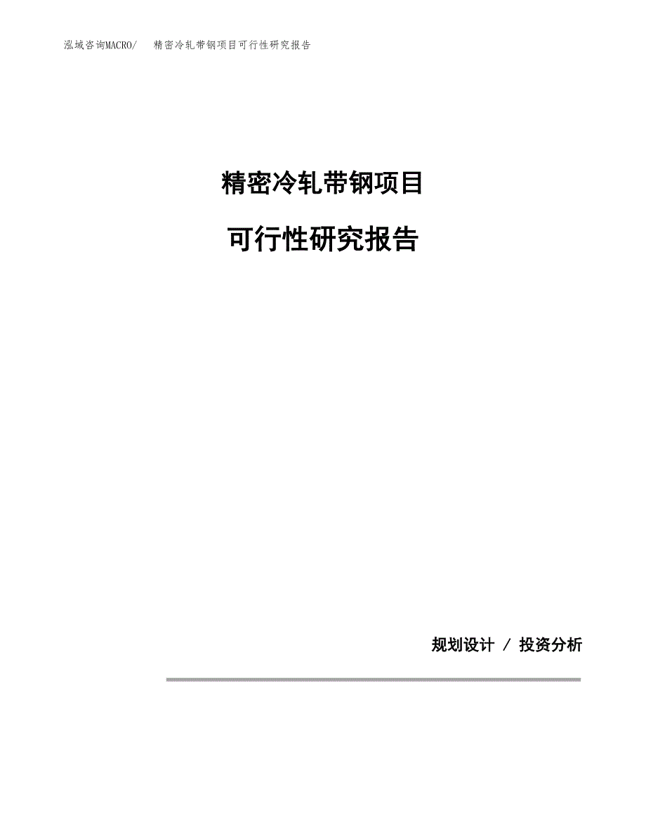 精密冷轧带钢项目可行性研究报告(样例模板).docx_第1页