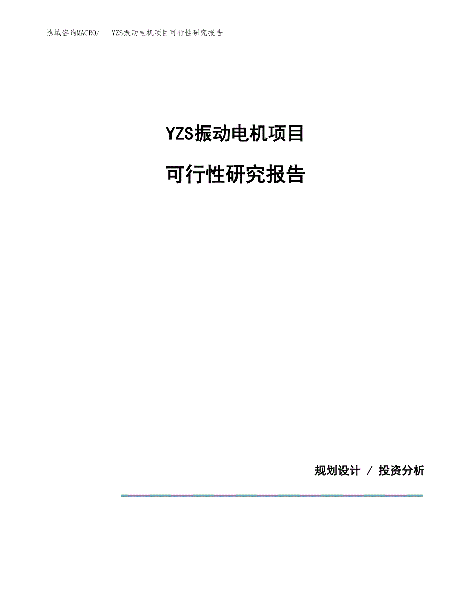 YZS振动电机项目可行性研究报告(样例模板).docx_第1页