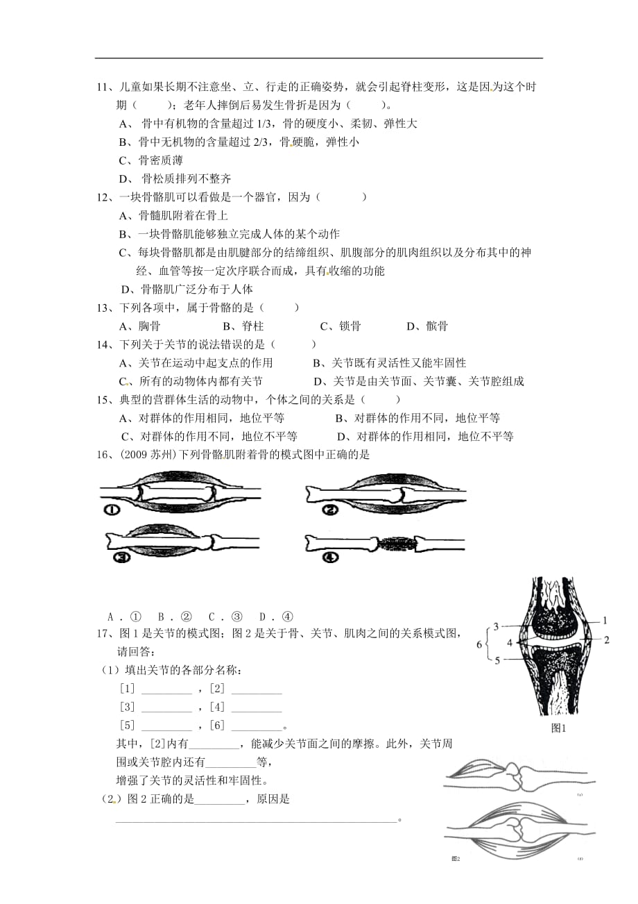 北师大版2020八年级生物初二上册《动物运动的形成》同步测试_第2页