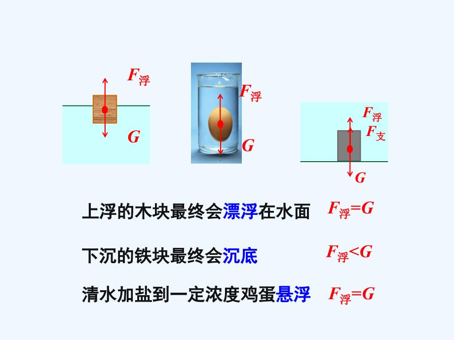 物理人教版初二下册10.3物体的浮沉条件应用_第4页