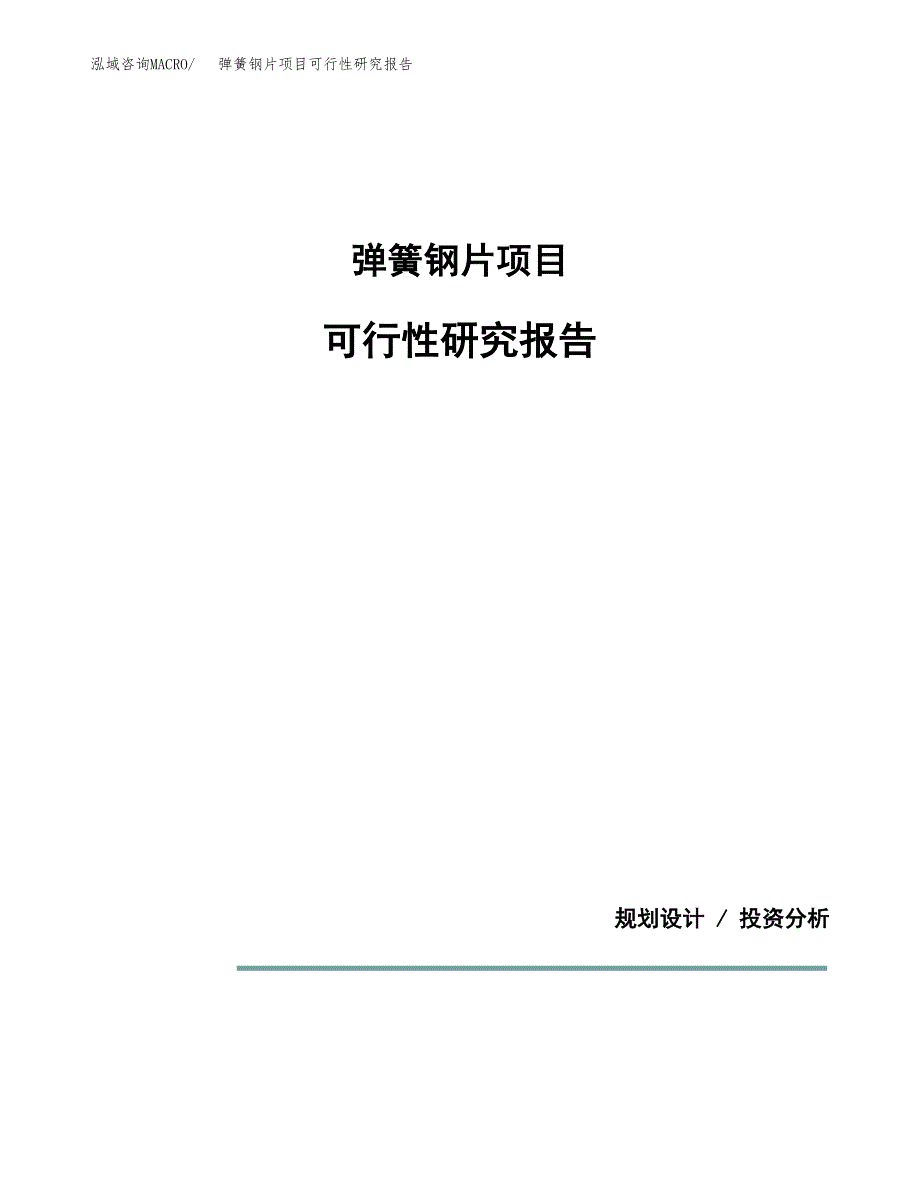 弹簧钢片项目可行性研究报告(样例模板).docx_第1页