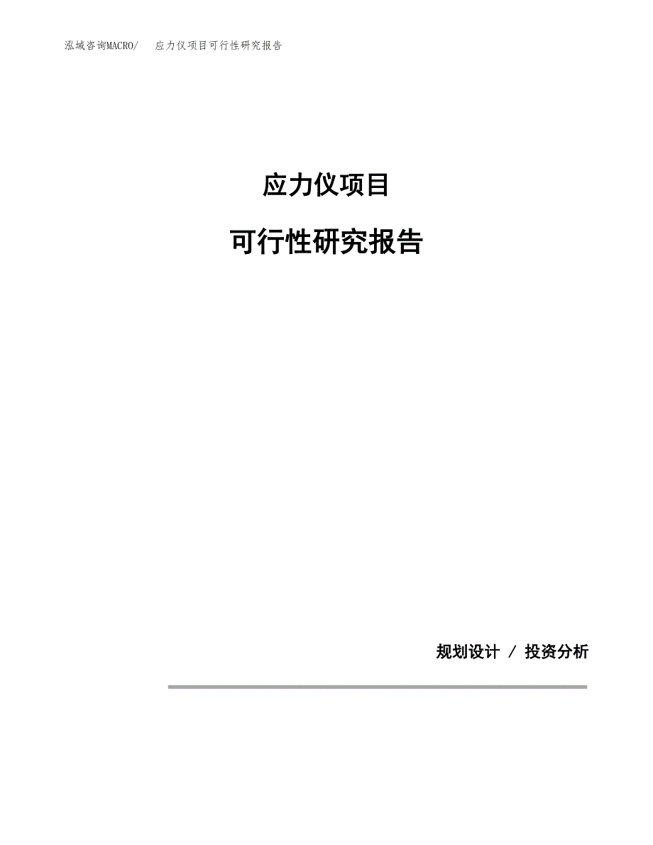 应力仪项目可行性研究报告(样例模板).docx_第1页