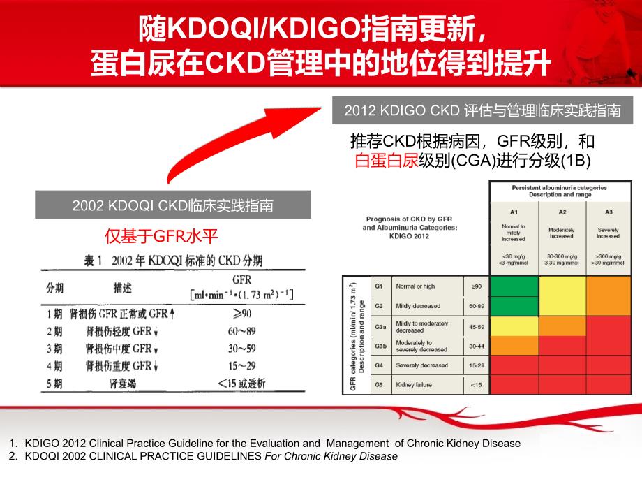 ras抑制剂在肾脏病的应用_第4页