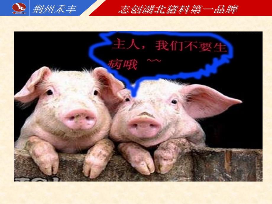 冬季养猪常见病的防治_第3页