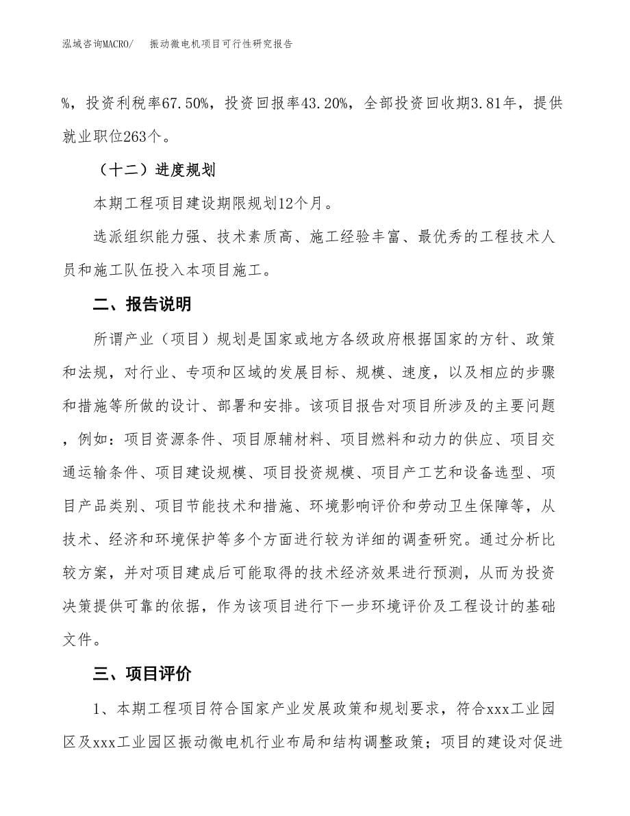 振动微电机项目可行性研究报告(样例模板).docx_第5页