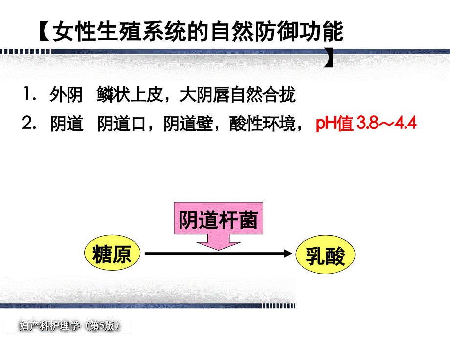 --女性生殖系统炎症病人的护理_第3页