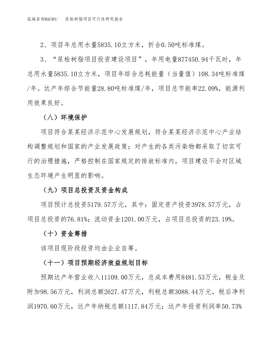 尿栓树脂项目可行性研究报告(样例模板).docx_第4页