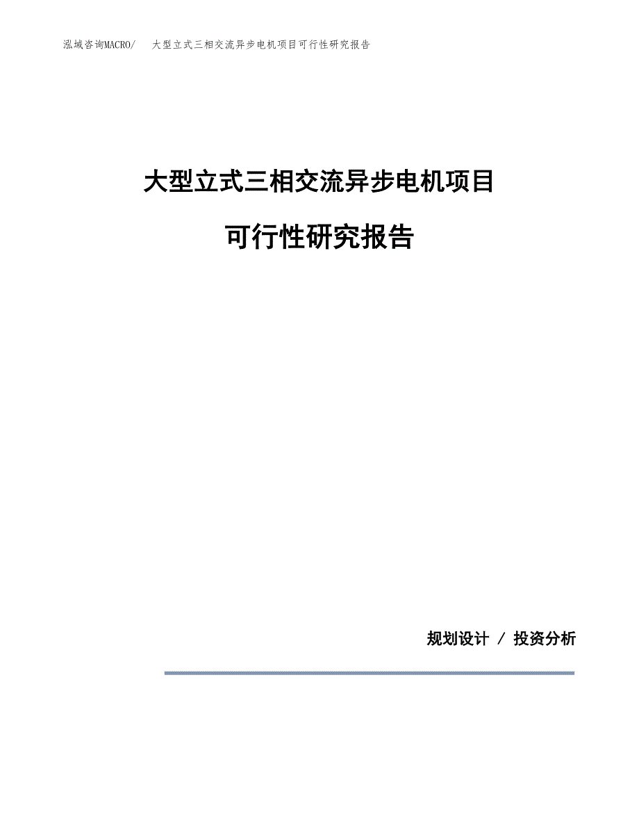 大型立式三相交流异步电机项目可行性研究报告(样例模板).docx_第1页