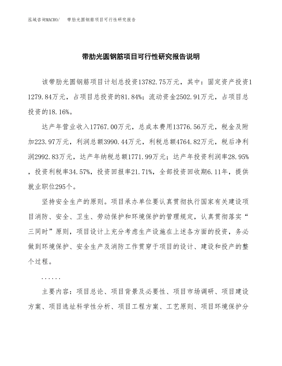 带肋光圆钢筋项目可行性研究报告(样例模板).docx_第2页