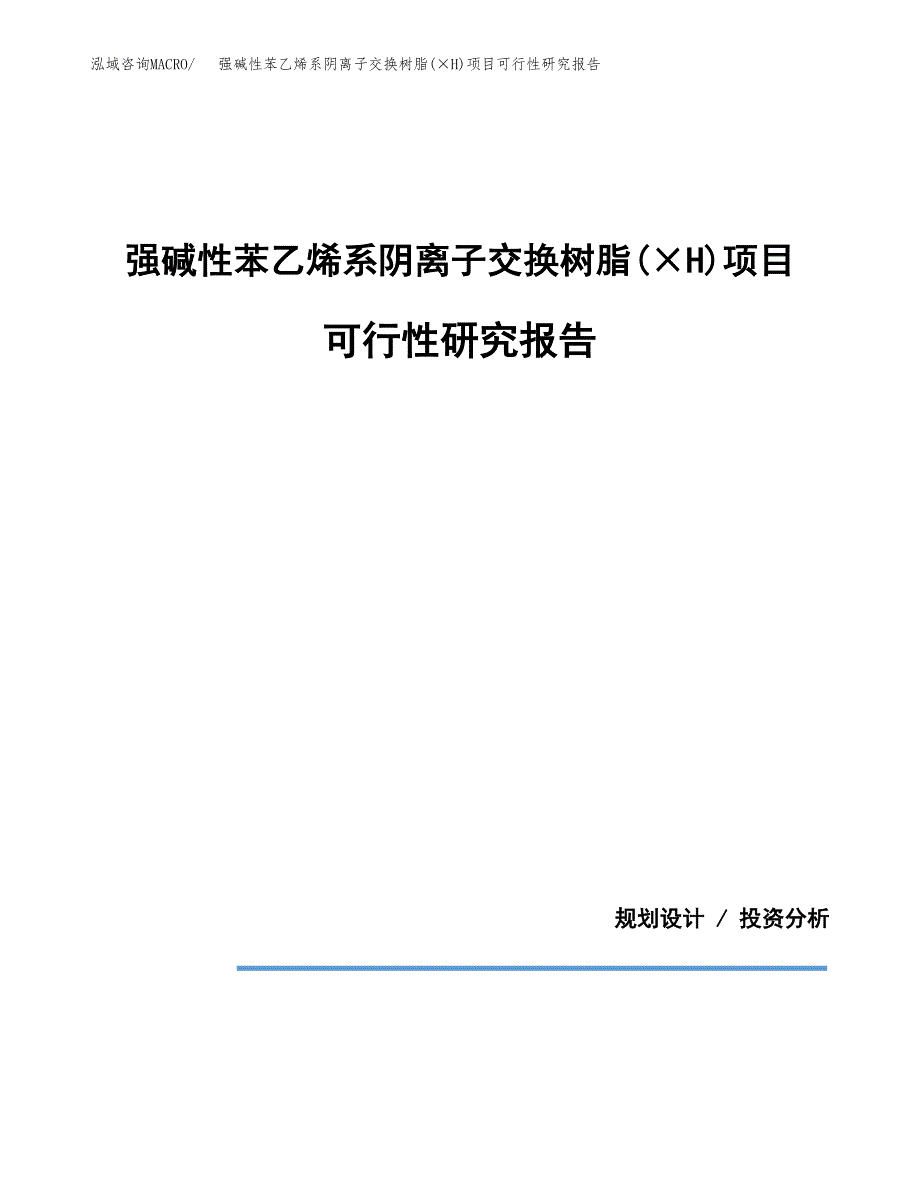 强碱性苯乙烯系阴离子交换树脂(&amp#215;H)项目可行性研究报告(样例模板).docx_第1页