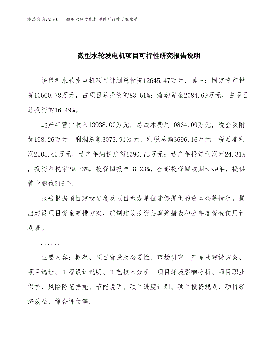 微型水轮发电机项目可行性研究报告(样例模板).docx_第2页