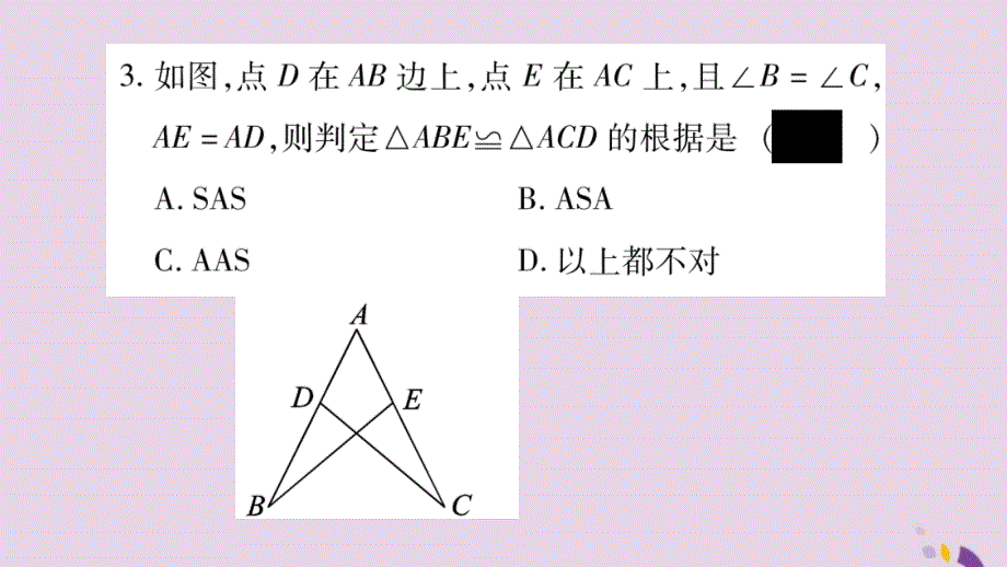 2018年秋八年级数学上册第2章三角形2.5全等三角形第4课时全等三角形的判定AAS习题课件新版湘教版20190116356_第4页