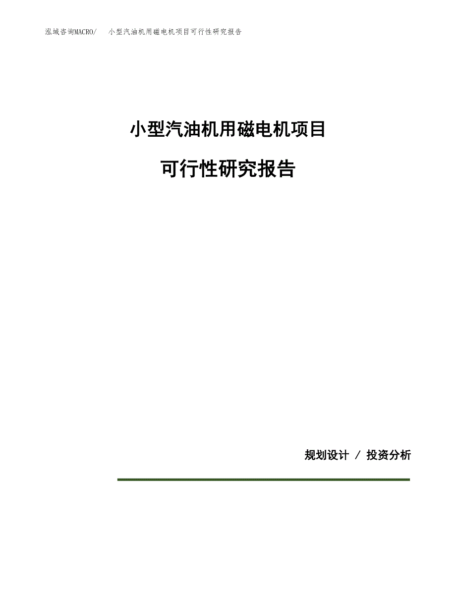 小型汽油机用磁电机项目可行性研究报告(样例模板).docx_第1页