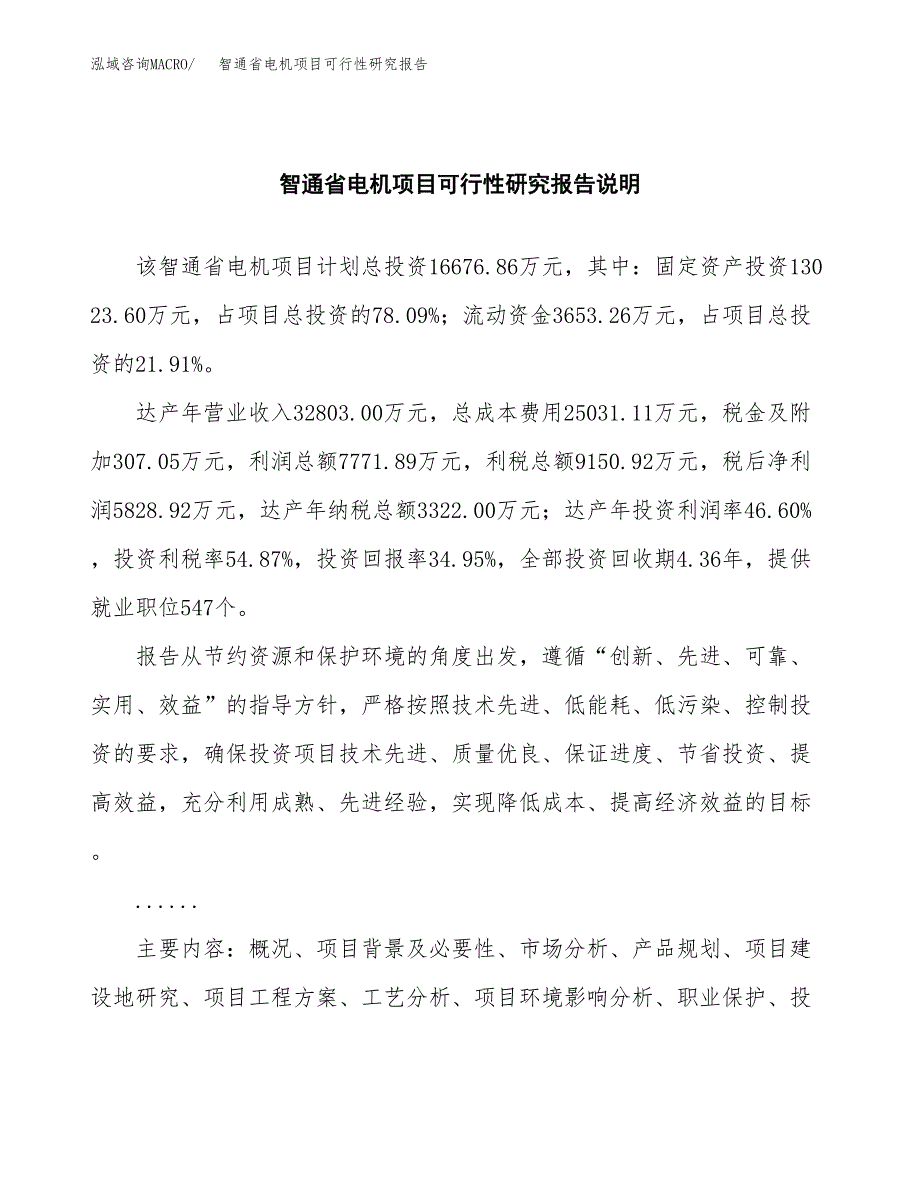 智通省电机项目可行性研究报告(样例模板).docx_第2页