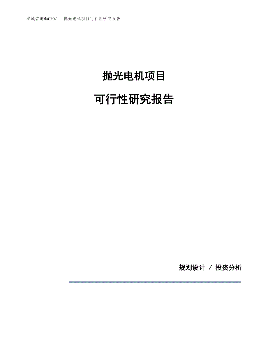 抛光电机项目可行性研究报告(样例模板).docx_第1页