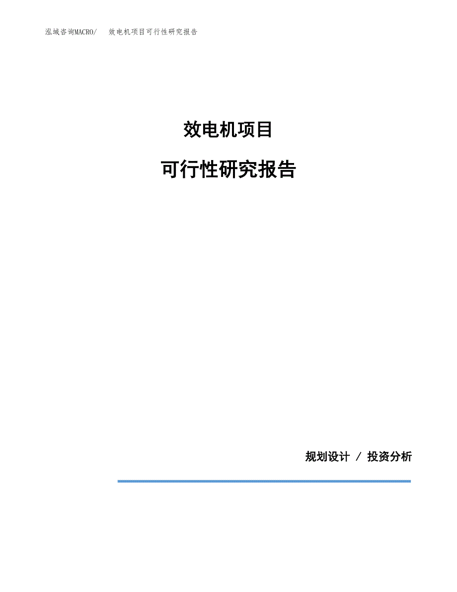 效电机项目可行性研究报告(样例模板).docx_第1页