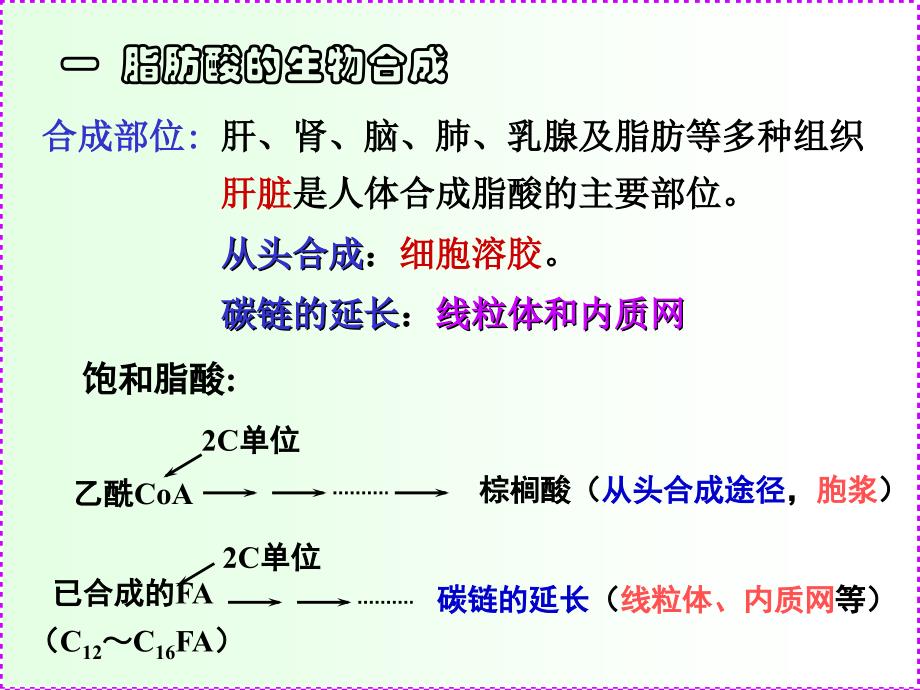 脂肪酸的生物合成及磷脂和胆固醇代谢_第4页