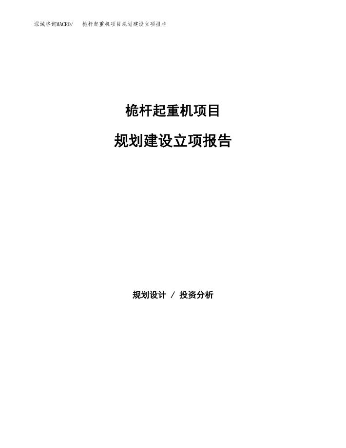 桅杆起重机项目规划建设立项报告