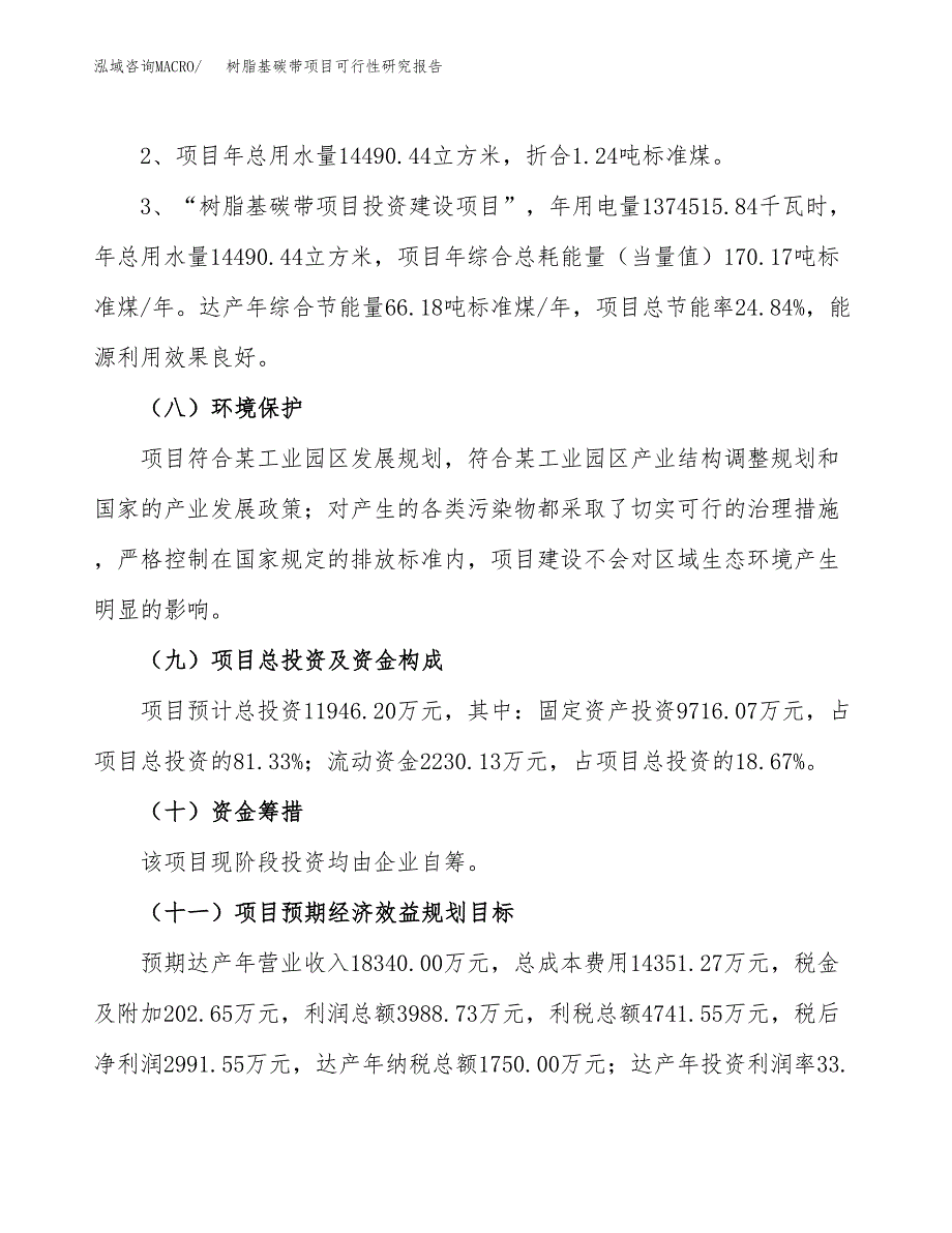 树脂基碳带项目可行性研究报告(样例模板).docx_第4页